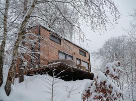 Coniferis, hotel sa Tomnatic