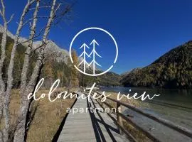 dolomites view apartment 2