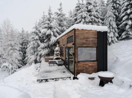 Viesnīca Coniferis pilsētā Tomnatic