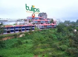 Tulips Resorts - Elkhill