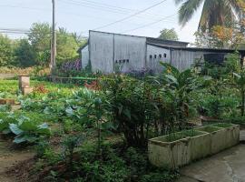 Green house, hotel di Cầu Kè