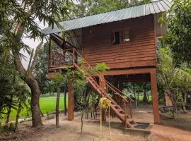 Friends Treehouse Pidurangala