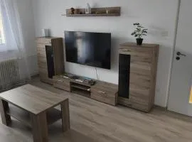 Apartmán Velké Losiny