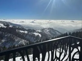 Vila Golija StudiovetKop