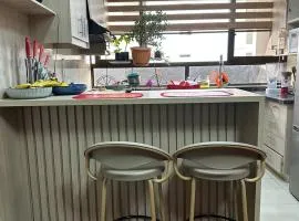 Lujoso, céntrico, cálido, equipado, con vista al carnaval