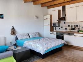 Ferienwohnung im Rheindelta, Hotel in Höchst