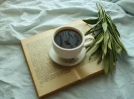 Loisirs travail, court, long séjour, idéalement situé, 2 chambres en enfilade, parking gratuit