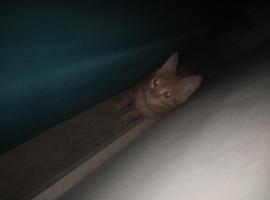 Al Sawy Station, Hotel in Kairo