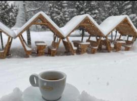 Vyijjkj, готель у Брашові