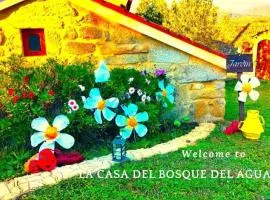 La Casa del Bosque del Agua y SPA Prexigueiro Obsequio entrada por persona a circuito termal