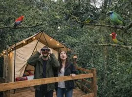 Glamping Colibrí, bosque vecino y vista a la montaña al mismo tiempo