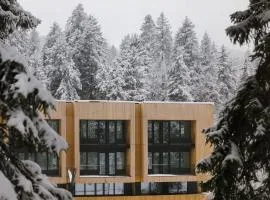 Kokhta Mitarbi Resort - studio in Bakuriani B3 404