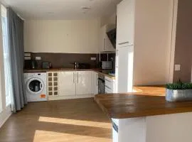 Newcastle City Penthouse