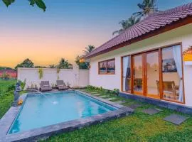 Ubud privat villa with pool and rice field view