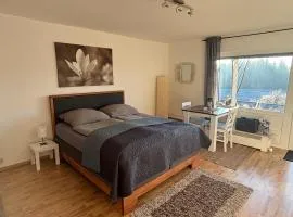 Panorama-Haus Appartment PFÄNDER - Bergblick, Badezimmer, Kitchenette, eigene Sonnenterrasse