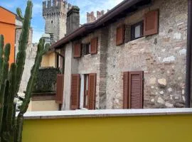 Luxury Central Square