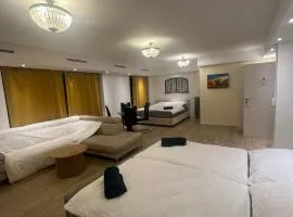 Central Living Brugg - View of Black Tower Apartment