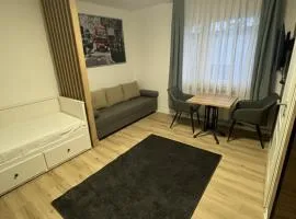Modern Compact Studio near Frankfurt