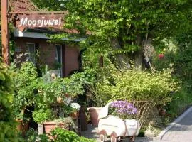 Dollhouse Modern retreat