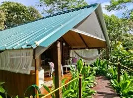 Mangle House Cabañas Ladrilleros