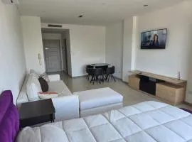 BAHIA GRANDE NORDELTA Monoambiente