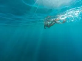 Séjour authentique en plein centre d Avignon