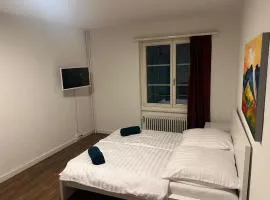 Central Living Brugg - Studio 11