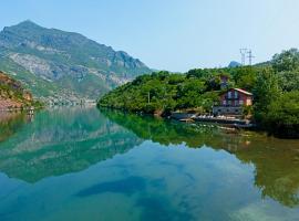 Borealis Guest House, Hotel in Koman