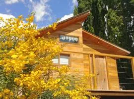 Amor Amarillo Cabaña de Montaña