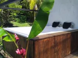 Cabaña con Jacuzzi Privado en El Peñol El palmar lodge