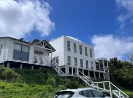 Cabaña vista al mar sector Metri Carretera Austral