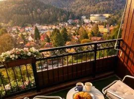 Black Forest Panorama Loft mit Pool