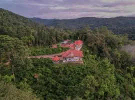 Misty Mountain Gudalur