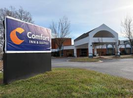 Comfort Inn & Suites, hotel u gradu Gejnsvil