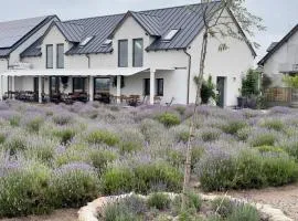 Apartament Lawendowe Zdroje