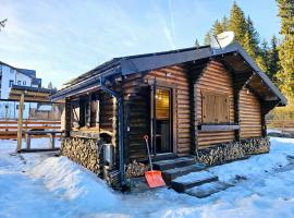 Cabana Transalpina Retreat，歐巴西亞洛德洛伊的飯店