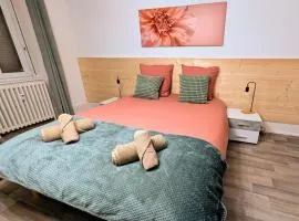 58m² Flat Garage Btw Colmar & Mulhouse