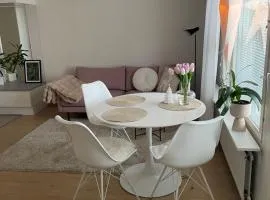 City Apartment River with sauna, balcony, free WiFi