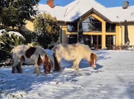 Siedlisko Żurawie – hotel w mieście Zamarte