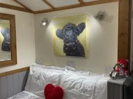 Waterloo Farm Shepherds Hut Glamping with Sun Lounge