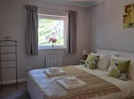 Peony Blossom Apartment, Croydon, quick accsess to Central London&Gatwick