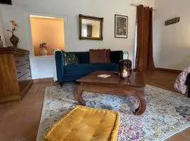 Studio Provençal au centre-ville de Vienne