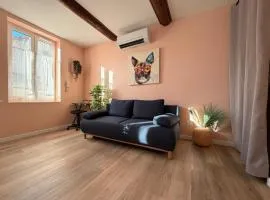 Le Cosy Rose - Climatisé Hyper Centre Historique