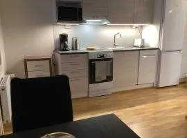 Yksiö yliopiston kampuksella