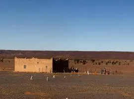 Your Berber House
