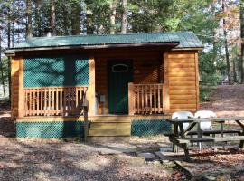Hominy Ridge Cabins and Gift Shop，Sigel的飯店