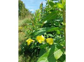 Holiday home with 3 bedrooms、Stotternheimのホテル