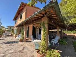 A Place to Dream Your Perfect Tuscan Holiday Home