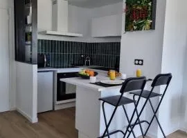 T2 Asakusa - Casseaux - Bords de Vienne - Limoges