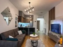 Luxury apartment with a fireplace and free parking!